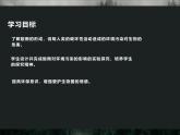 7.1.1探究环境污染对生物的影响课件人教版七年级下册生物