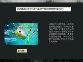7.1.1探究环境污染对生物的影响课件人教版七年级下册生物