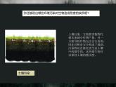 7.1.1探究环境污染对生物的影响课件人教版七年级下册生物
