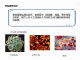 8.1.1传染病及其预防课件2023-2024学年人教版生物八年级下册