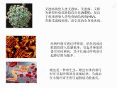 8.1.1传染病及其预防课件2023-2024学年人教版生物八年级下册