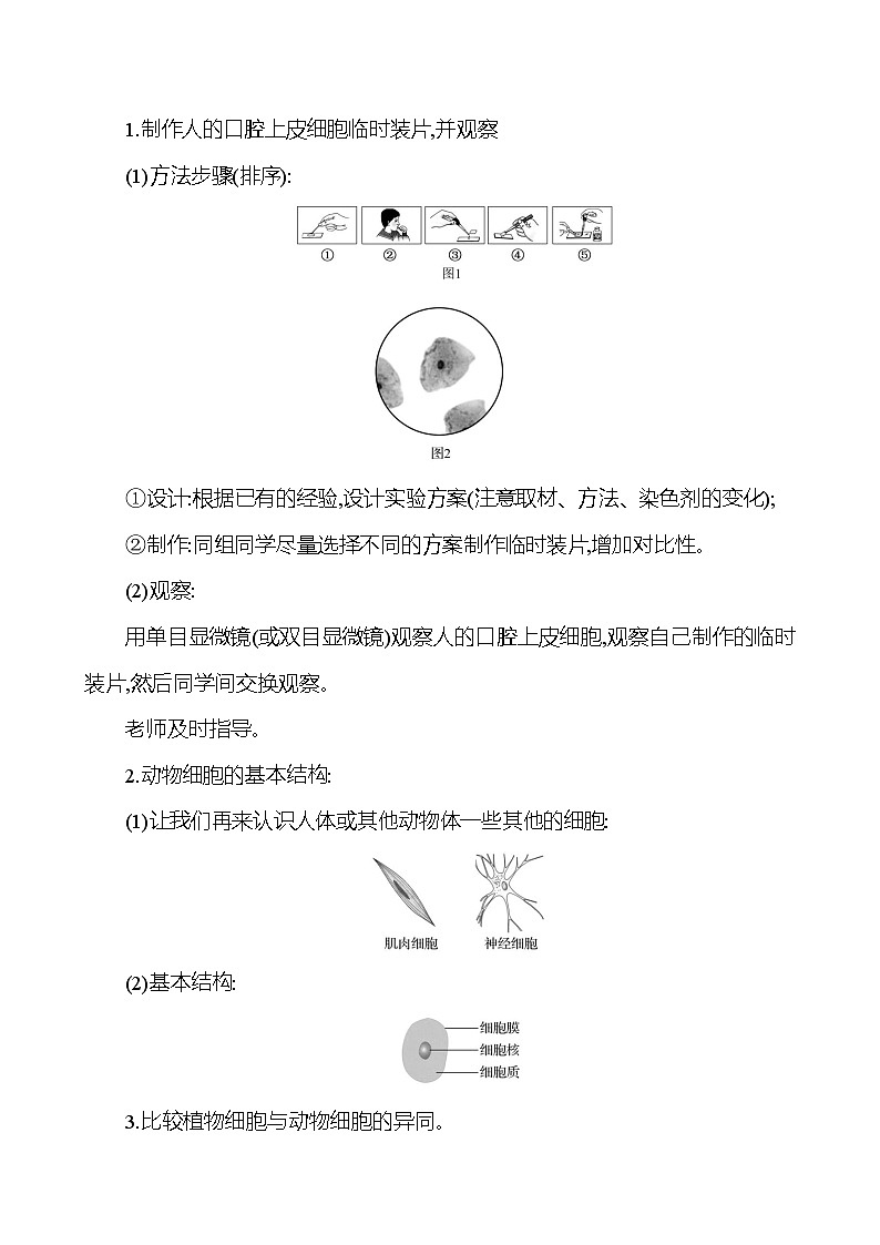 人教版生物七年级上册 1.2.3  动物细胞   教案第2页