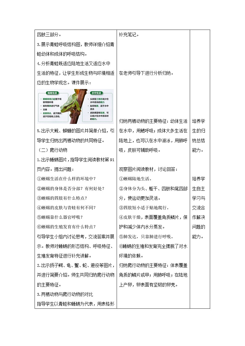 人教版生物七年级上册 2.2.2 脊椎动物（第2课时—两栖动物和爬行动物）教案表格式第2页