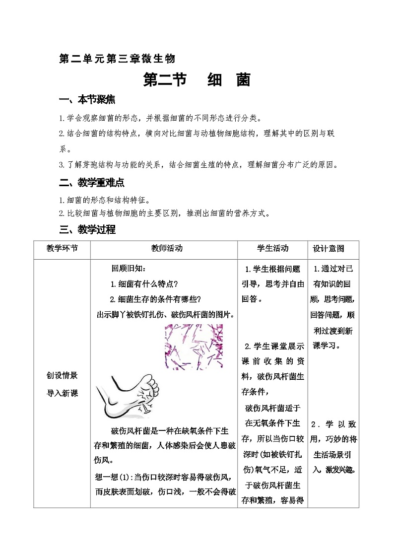 人教版生物七年级上册 2.3.2 细菌  教学设计 （表格式）（任务驱动式）第1页