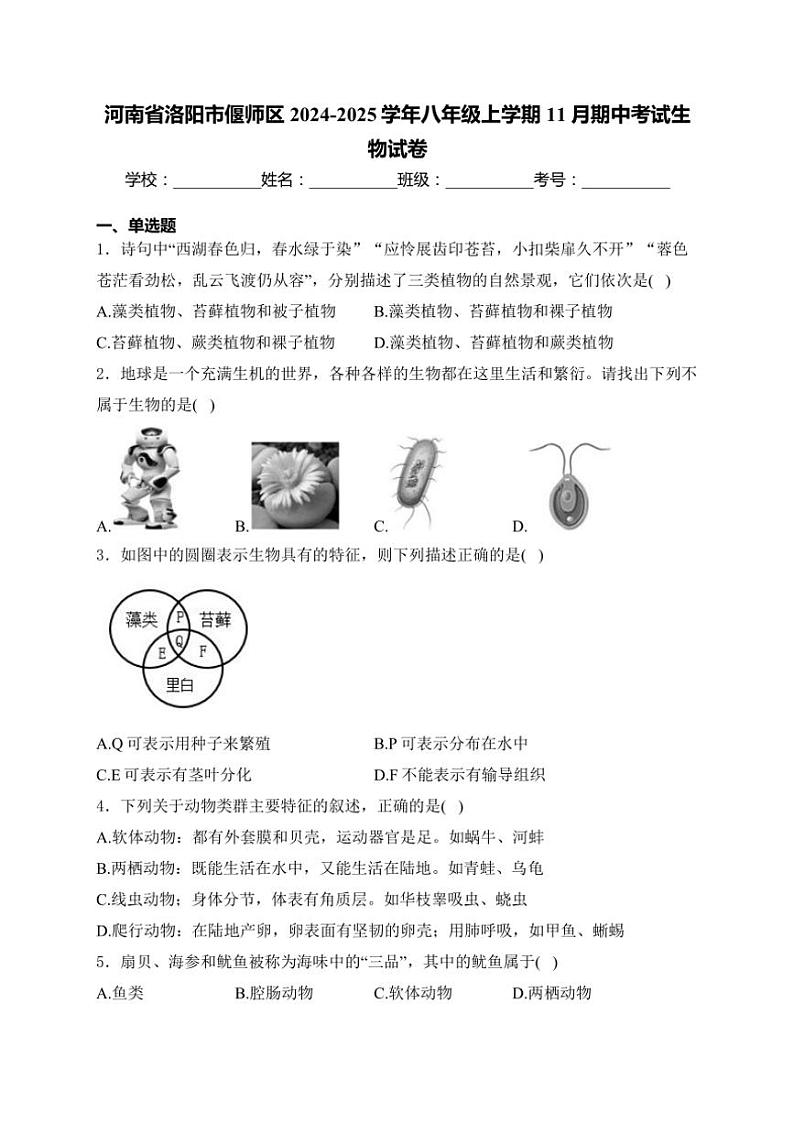 2024～2025学年河南省洛阳市偃师区八年级(上)期中生物试卷(含解析)第1页