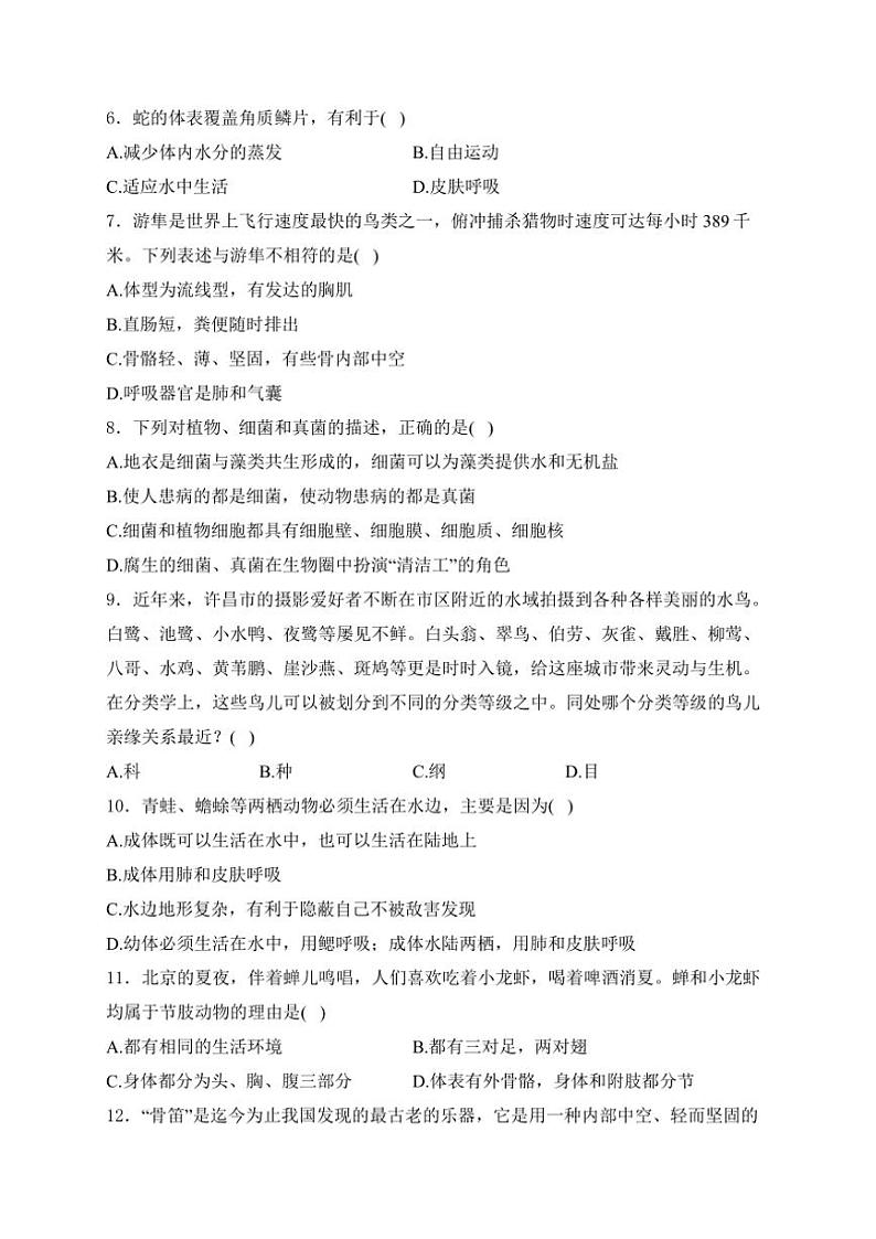 2024～2025学年河南省洛阳市偃师区八年级(上)期中生物试卷(含解析)第2页