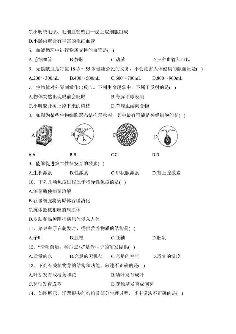 2024～2025学年石家庄市第十三中学八年级(上)10月月考生物试卷(含解析)第2页