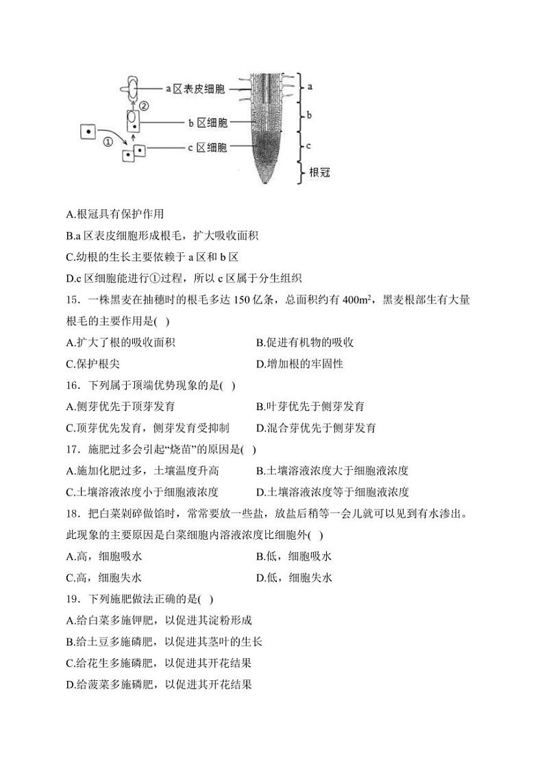 2024～2025学年石家庄市第十三中学八年级(上)10月月考生物试卷(含解析)第3页