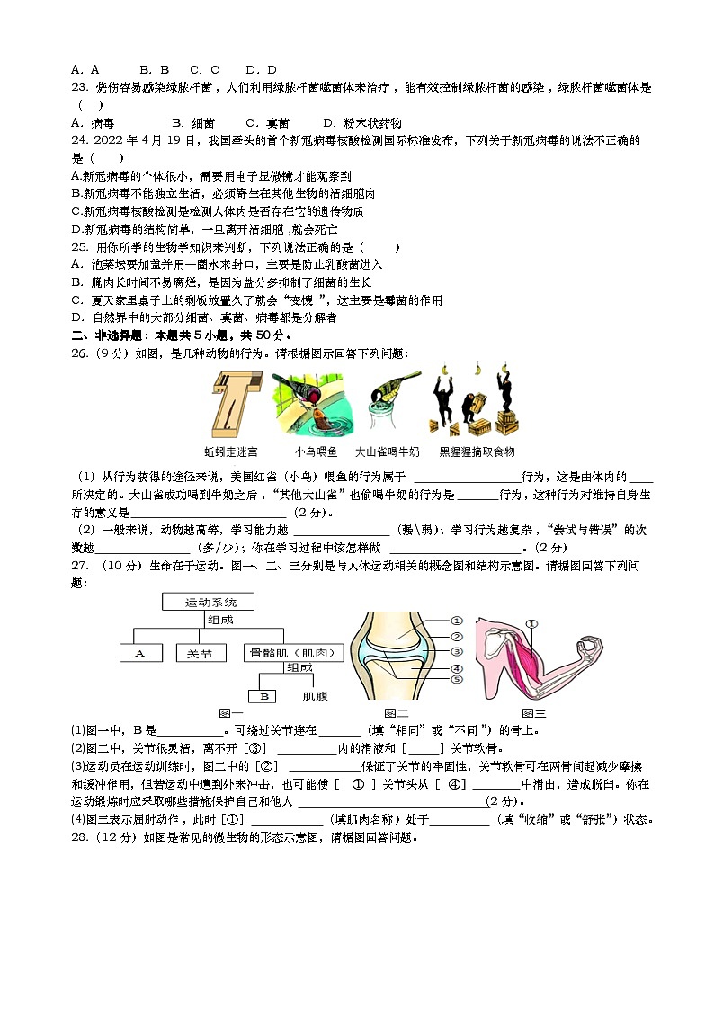 四川省自贡市荣县2024-2025学年八年级上学期期中考试生物试题第3页