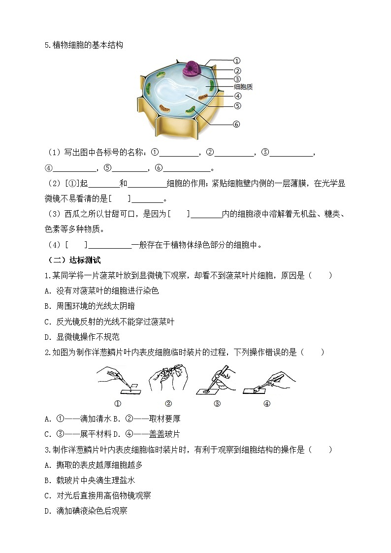 2024-2025学年人教版生物七年级上册 1.2.2 植物细胞 学案第2页