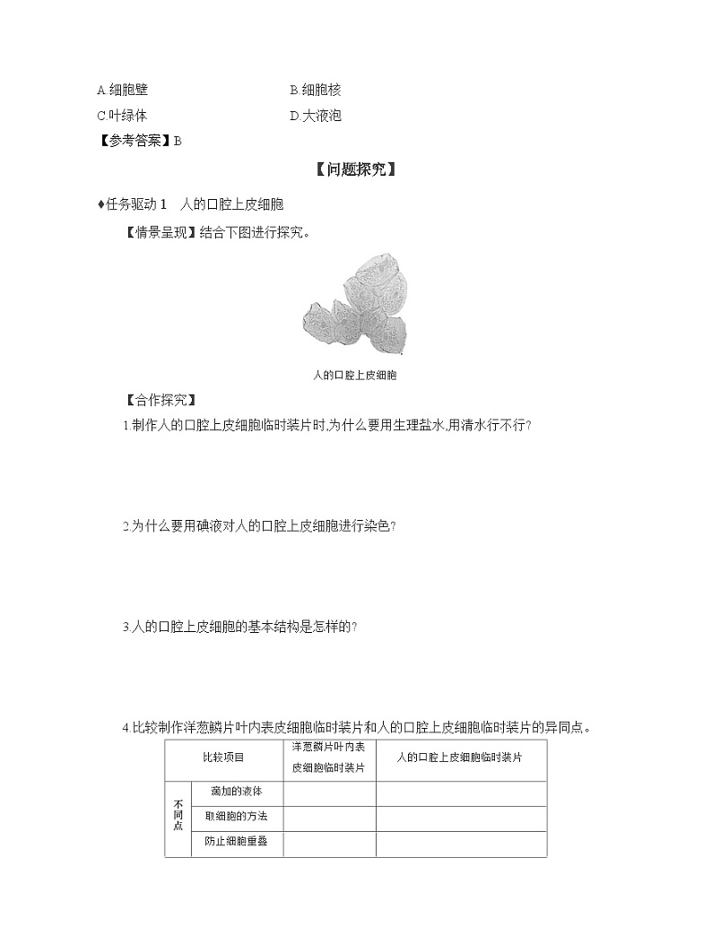 2024-2025学年人教版生物七年级上册 1.2.3　动物细胞  导学案第3页