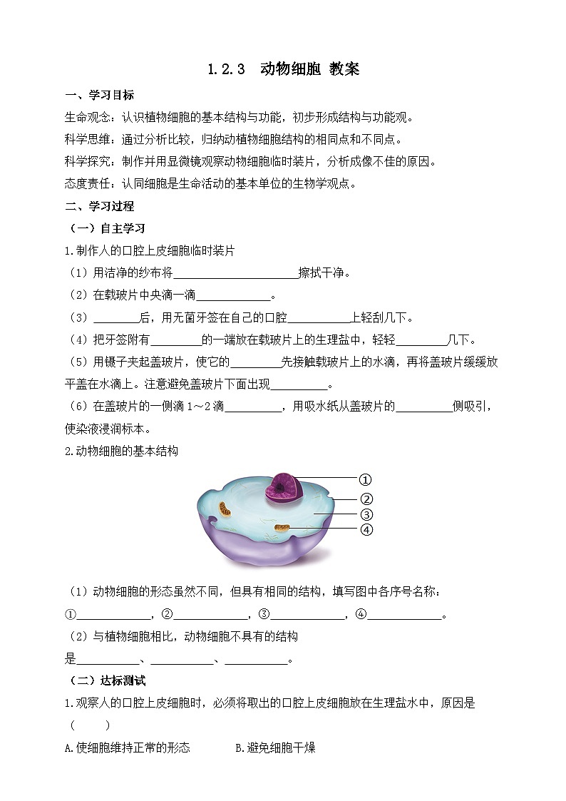 2024-2025学年人教版生物七年级上册 1.2.3 动物细胞 学案第1页