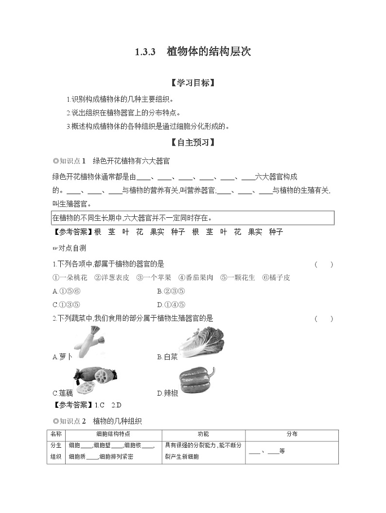2024-2025学年人教版生物七年级上册 1.3.3　植物体的结构层次  导学案第1页