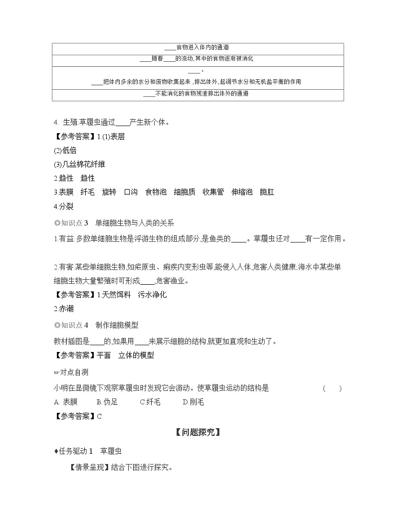 2024-2025学年人教版生物七年级上册 1.3.4　单细胞生物  导学案第2页