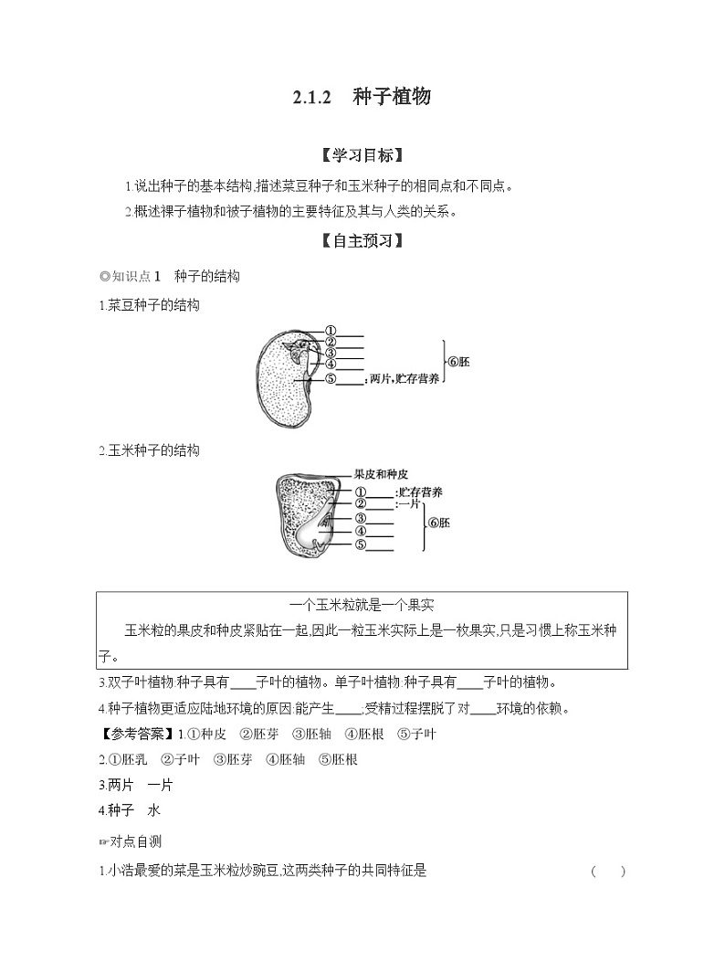 2024-2025学年人教版生物七年级上册 2.1.2　种子植物  导学案第1页