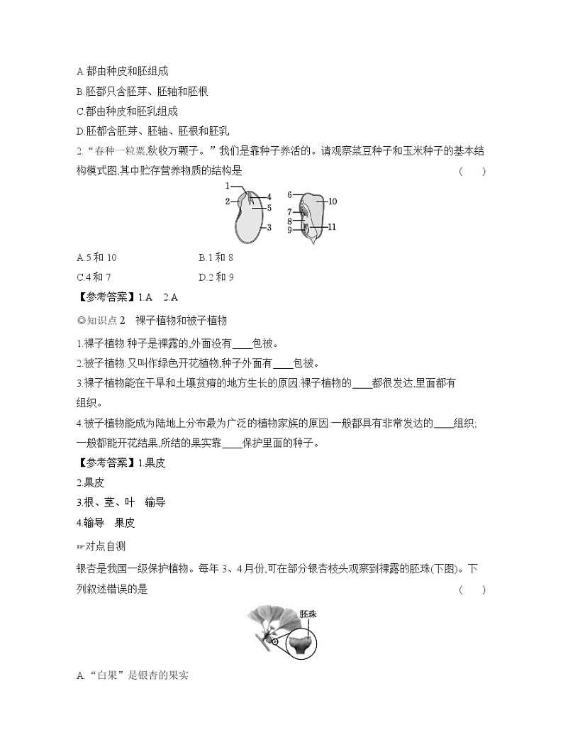 2024-2025学年人教版生物七年级上册 2.1.2　种子植物  导学案第2页
