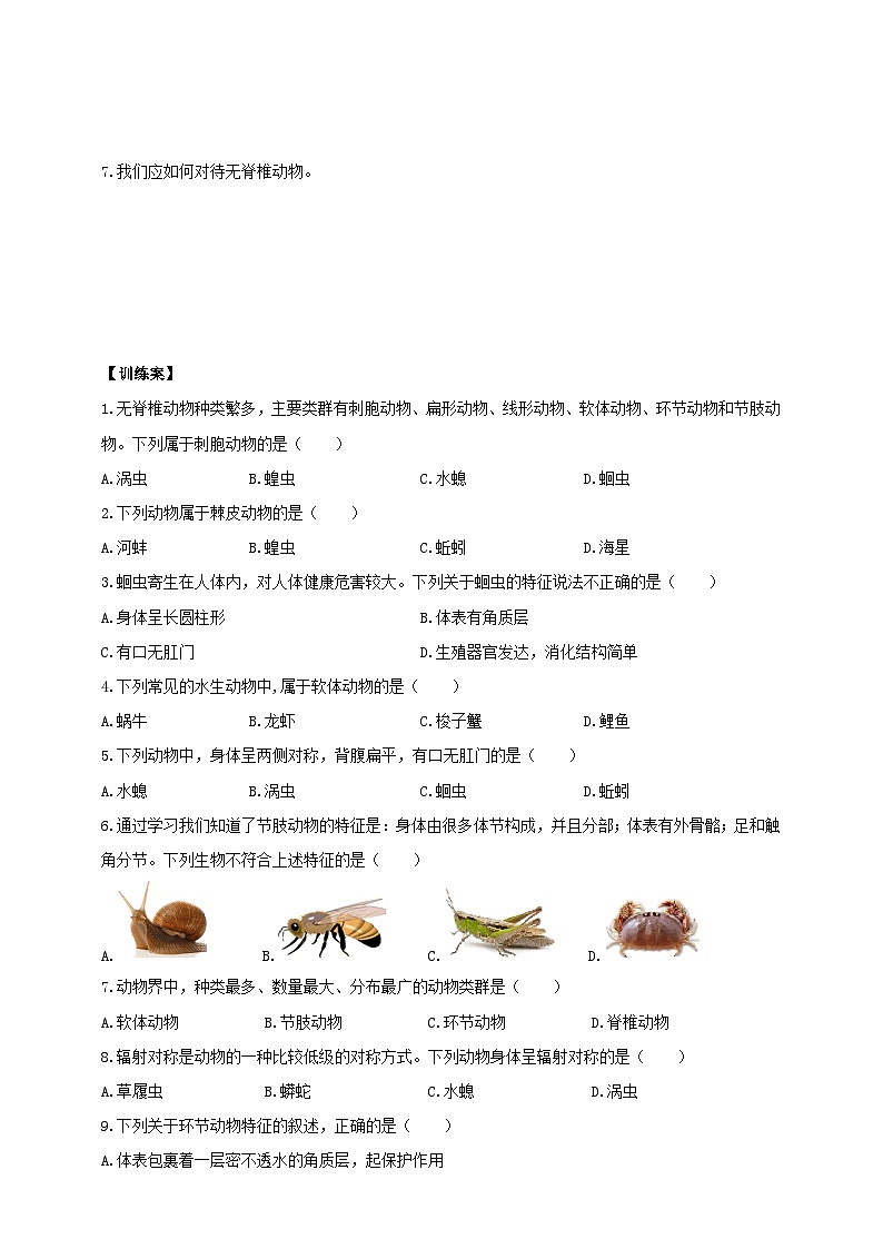 2024-2025学年人教版生物七年级上册 2.2.1 无脊椎动物 导学案第3页