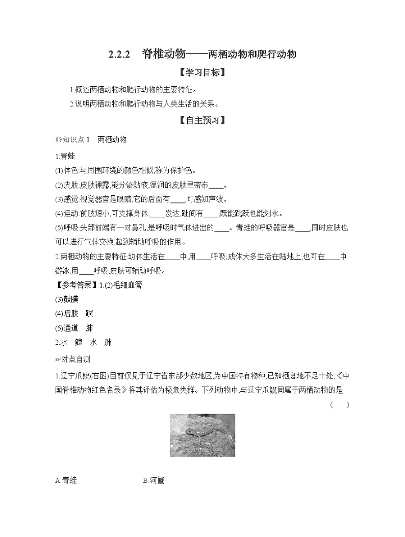2024-2025学年人教版生物七年级上册 2.2.2　脊椎动物——两栖动物和爬行动物  导学案第1页