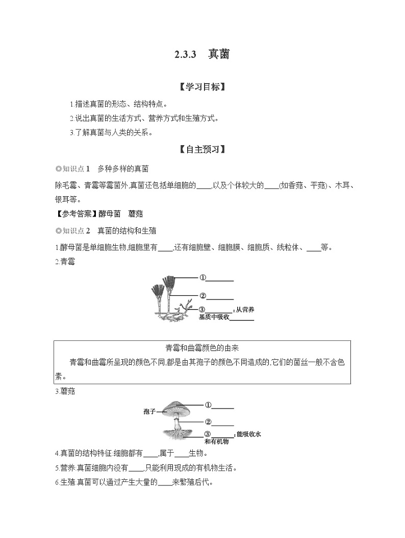 2024-2025学年人教版生物七年级上册 2.3.3　真菌  导学案第1页