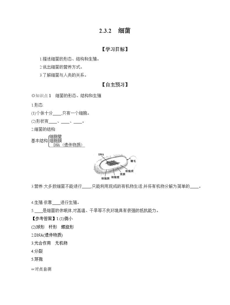 2024-2025学年人教版生物七年级上册 2.3.2　细菌  导学案第1页