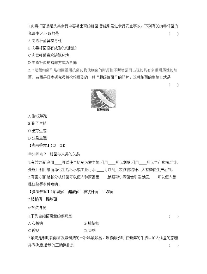 2024-2025学年人教版生物七年级上册 2.3.2　细菌  导学案第2页