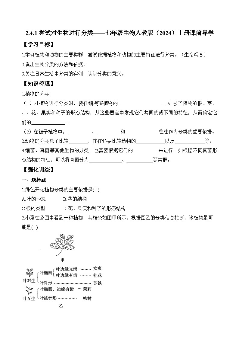 2024-2025学年人教版生物七年级上册 2.4.1 尝试对生物进行分类  学案第1页