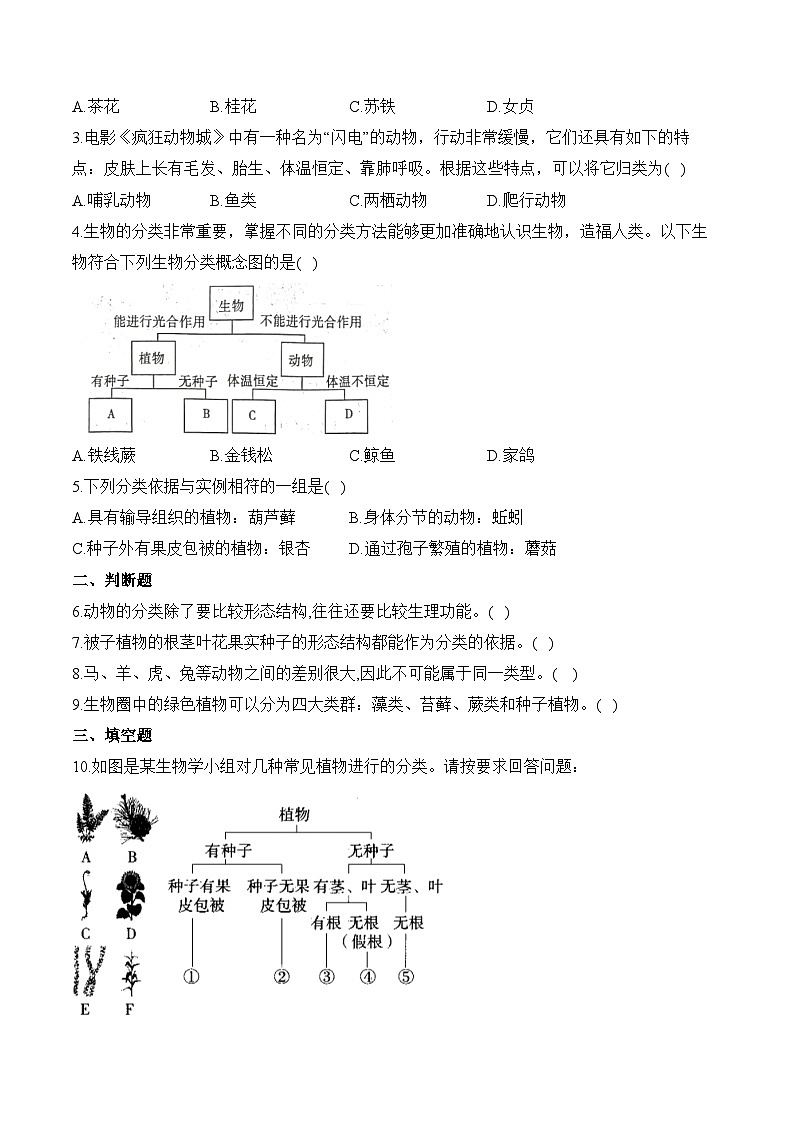 2024-2025学年人教版生物七年级上册 2.4.1 尝试对生物进行分类  学案第2页