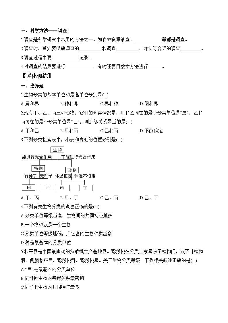 2024-2025学年人教版生物七年级上册 2.4.2  从种到界  学案第2页