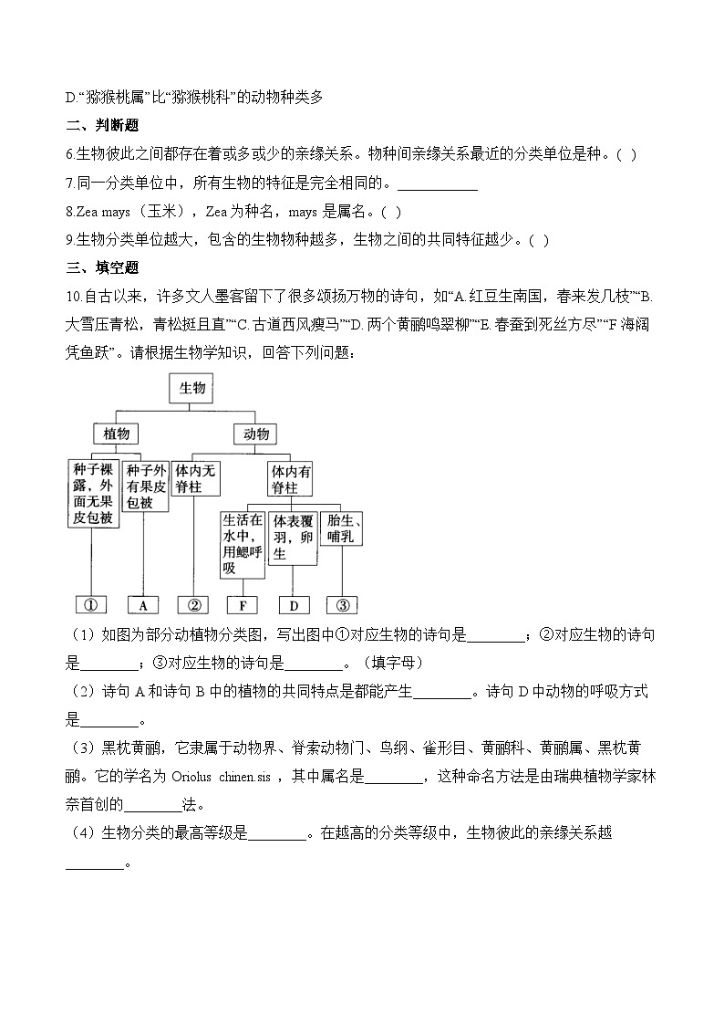 2024-2025学年人教版生物七年级上册 2.4.2  从种到界  学案第3页