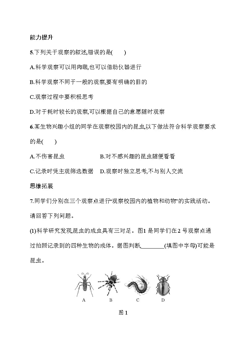 2024-2025学年人教版生物七年级上册 1.1.1  观察周边环境中的生物  同步练习（含答案） 人教版  生物七年级上册第2页