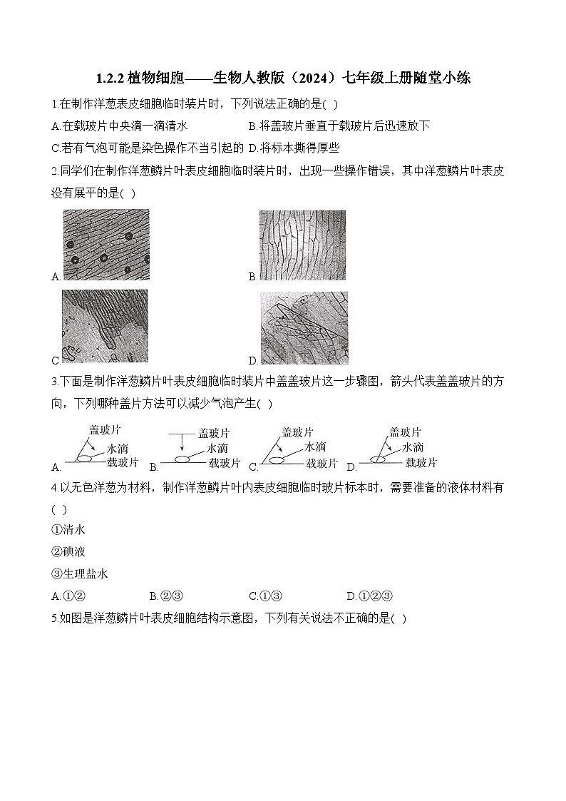 2024-2025学年人教版生物七年级上册 1.2.2 植物细胞 人教版  七年级生物上册随堂小练（含解析）第1页