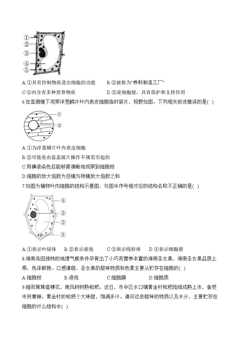 2024-2025学年人教版生物七年级上册 1.2.2 植物细胞 人教版  七年级生物上册随堂小练（含解析）第2页