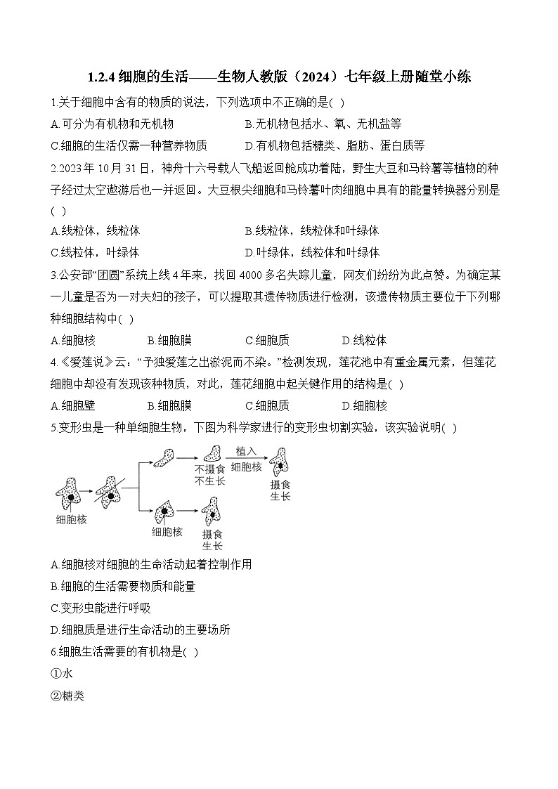 2024-2025学年人教版生物七年级上册 1.2.4 细胞的生活  人教版  七年级生物上册随堂小练（含解析）第1页