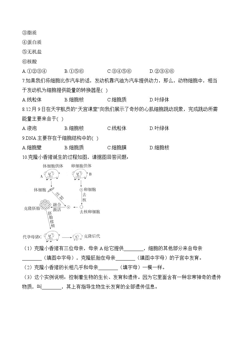 2024-2025学年人教版生物七年级上册 1.2.4 细胞的生活  人教版  七年级生物上册随堂小练（含解析）第2页
