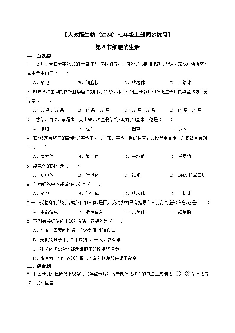 2024-2025学年人教版生物七年级上册 1.2.4 细胞的生活（含答案）作业第1页