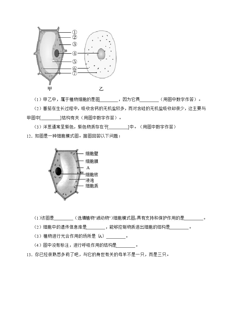 2024-2025学年人教版生物七年级上册 1.2.4 细胞的生活（含答案）作业第3页