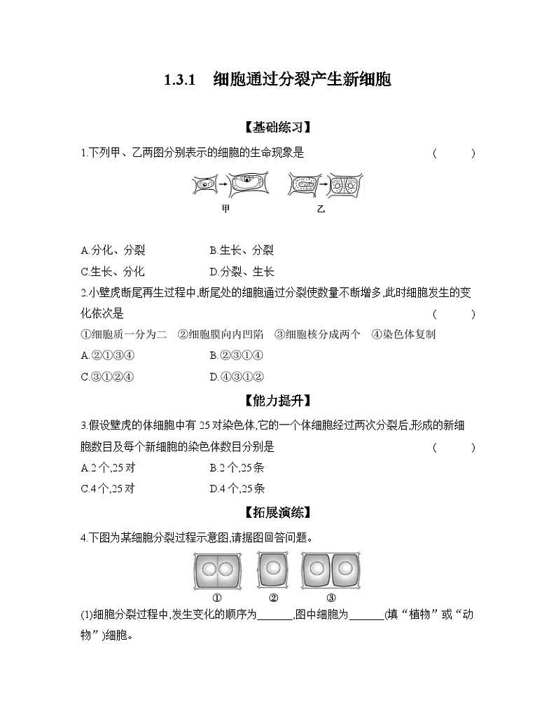 2024-2025学年人教版生物七年级上册 1.3.1　细胞通过分裂产生新细胞  作业第1页