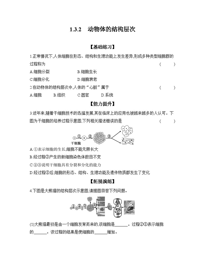 2024-2025学年人教版生物七年级上册 1.3.2　动物体的结构层次  作业第1页