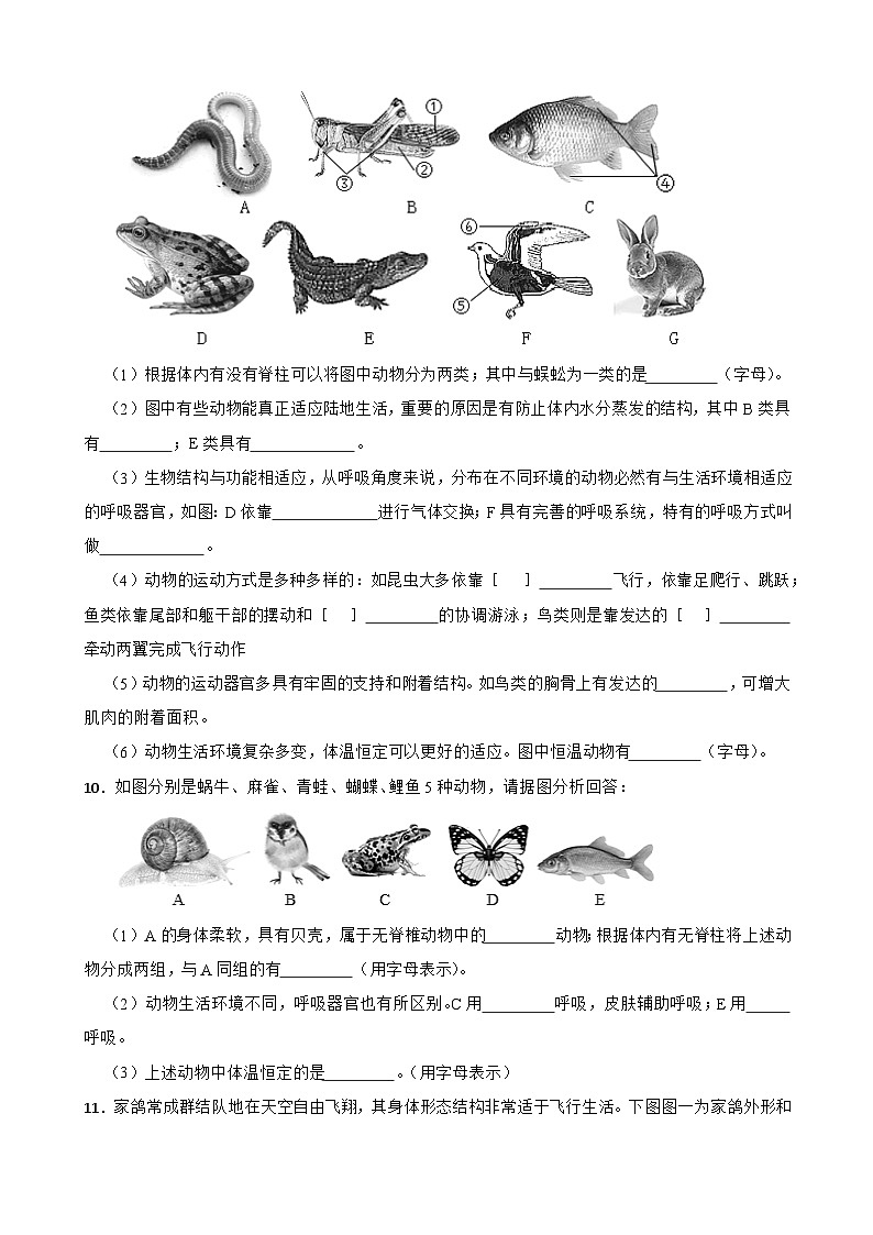 2024-2025学年人教版生物七年级上册 2.2.2  脊椎动物-鸟和哺乳动物 练习第2页