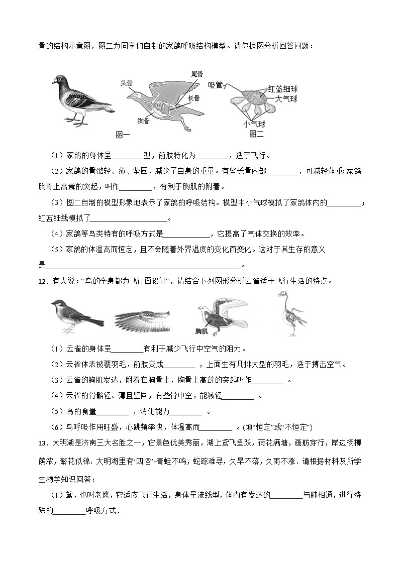 2024-2025学年人教版生物七年级上册 2.2.2  脊椎动物-鸟和哺乳动物 练习第3页