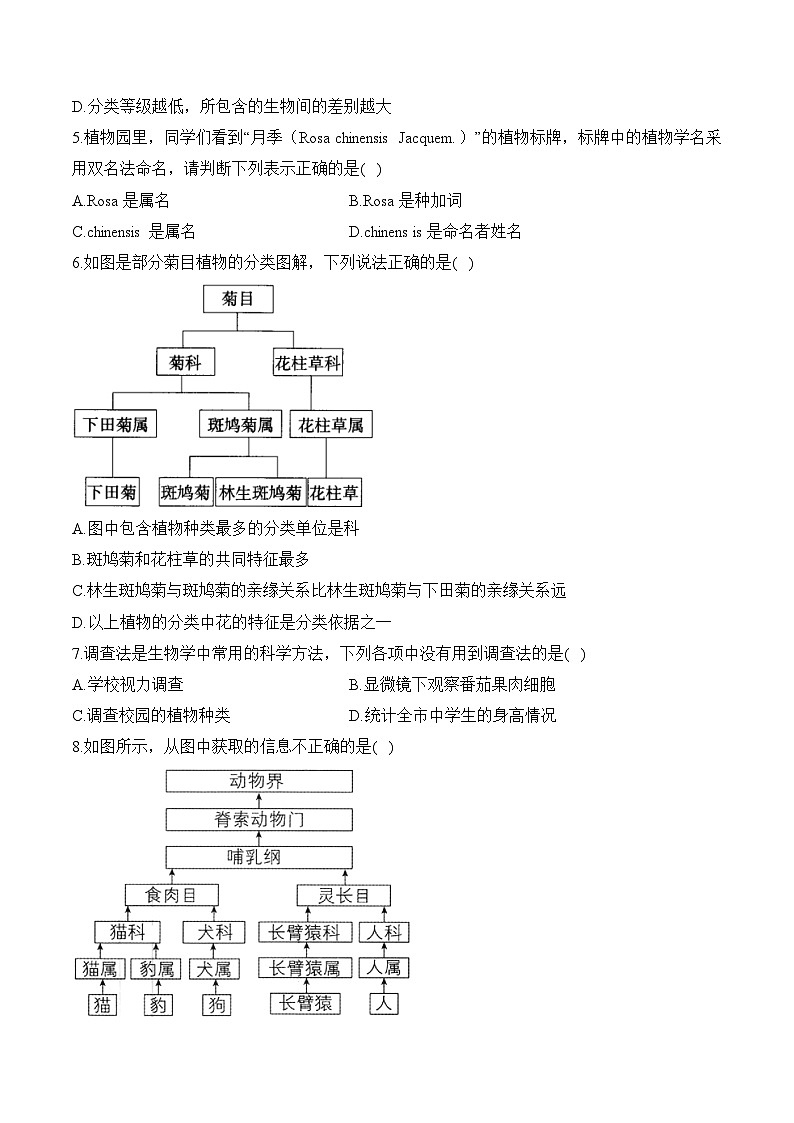 2024-2025学年人教版生物七年级上册 2.4.2  从种到界  优化训练（含解析）第2页