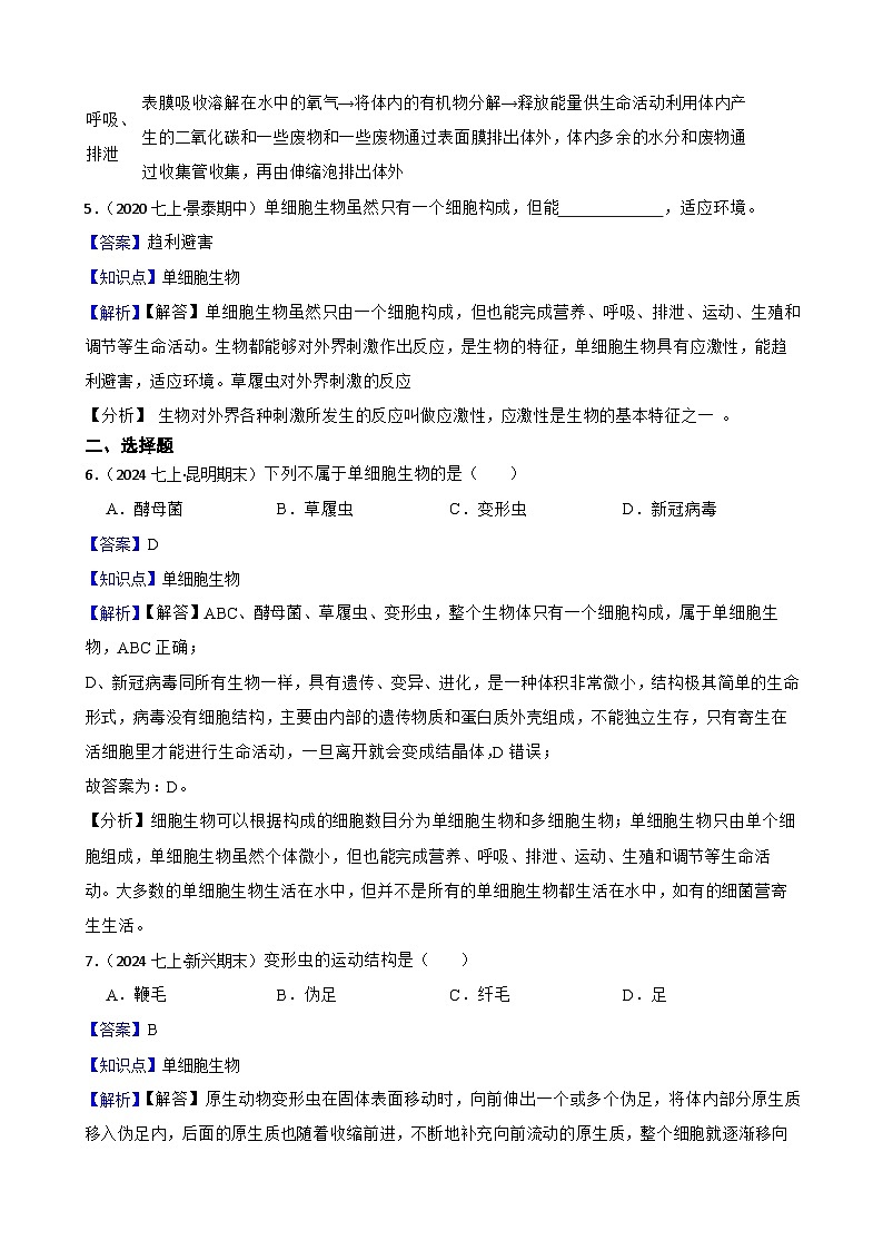2024-2025学年人教版生物七年级上册 人教版（2024）生物学七（上）1.3.4 单细胞生物 同步练习(教师版)第3页