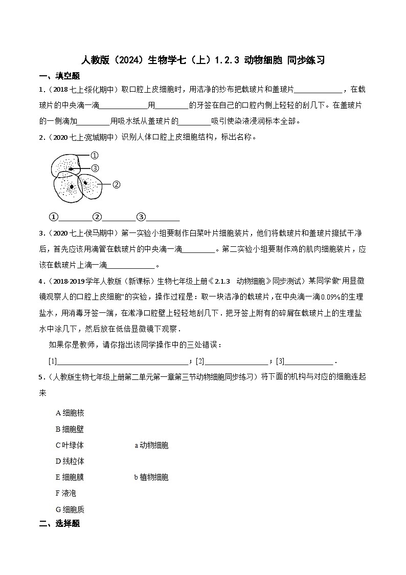 2024-2025学年人教版生物七年级上册 生物学七（上）1.2.3 动物细胞 同步练习(学生版)第1页