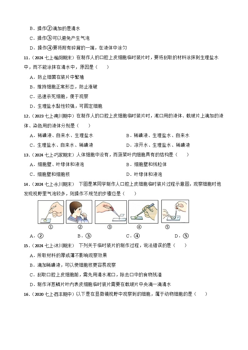 2024-2025学年人教版生物七年级上册 生物学七（上）1.2.3 动物细胞 同步练习(学生版)第3页