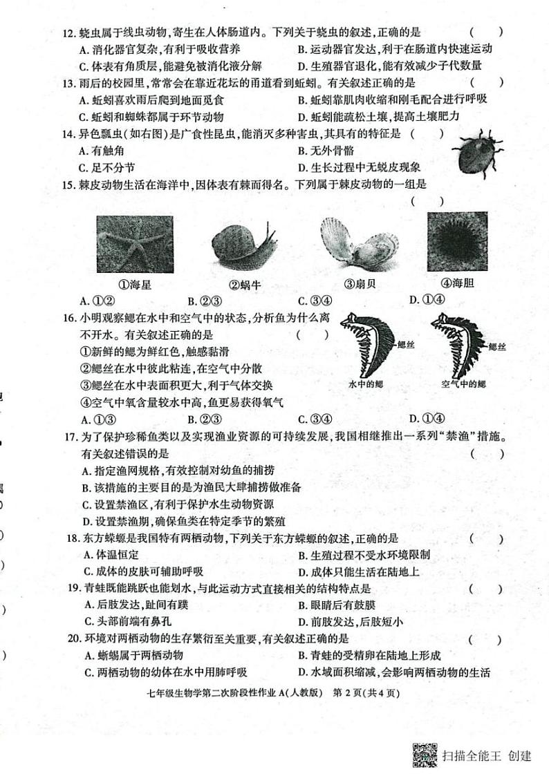 2024～2025学年陕西省西安市蓝田县七年级(上)第二次月考质量检测生物试卷(含答案)第2页