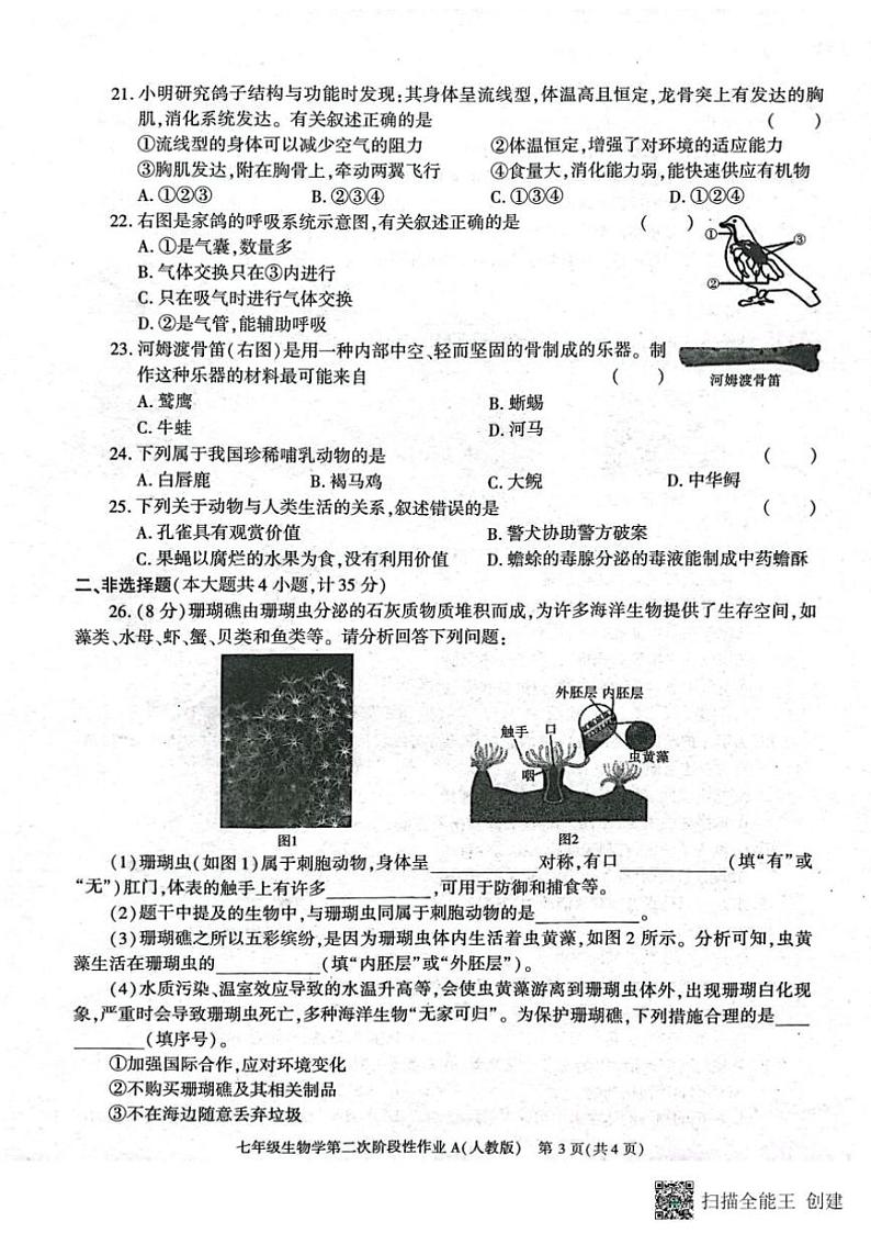 2024～2025学年陕西省西安市蓝田县七年级(上)第二次月考质量检测生物试卷(含答案)第3页