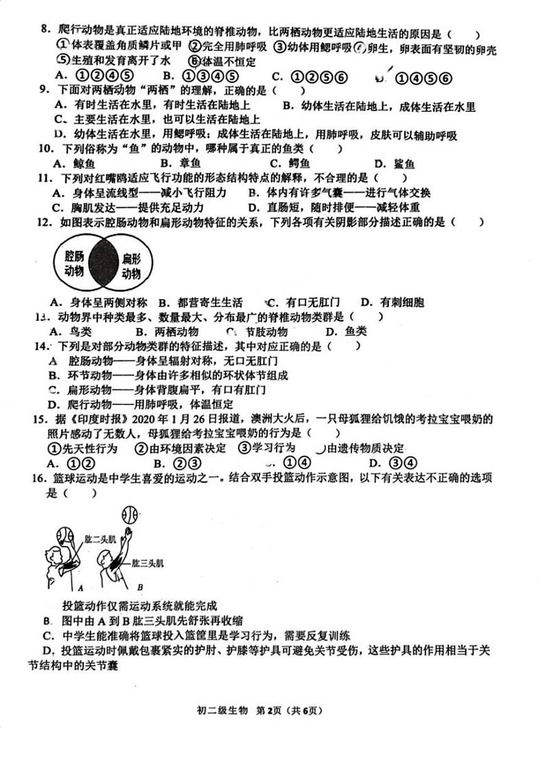 2024～2025学年广东省茂名市博雅中学八年级(上)期中生物试卷(含答案)第2页