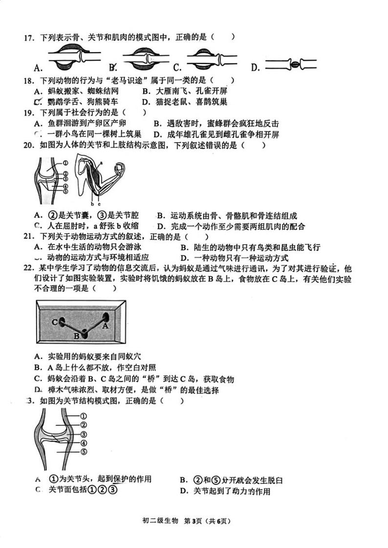 2024～2025学年广东省茂名市博雅中学八年级(上)期中生物试卷(含答案)第3页