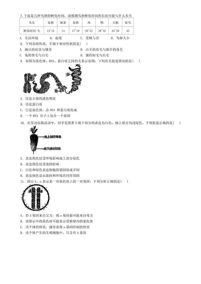 2024～2025学年吉林省长春市长春北湖学校八年级(上)第二次阶段性评价生物试卷(无答案)第2页