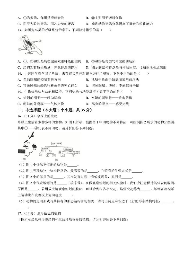 2024～2025学年山西省临汾市部分学校七年级(上)12月月考生物试卷(含答案)第3页